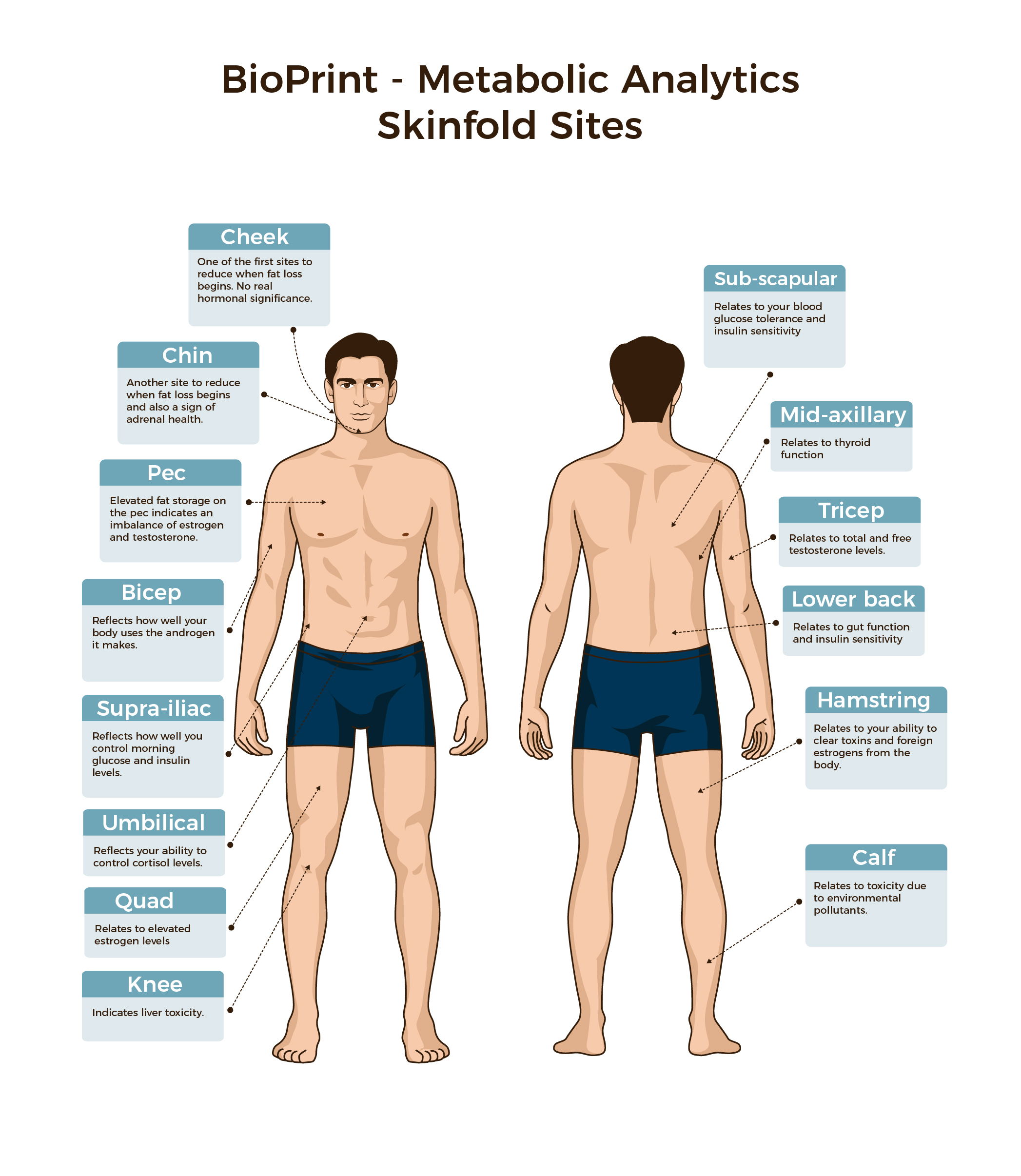 Bioprint infographic3-01
